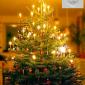 Weihnachtsbaum mit Geschenken und Gral Wappen