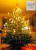 Weihnachtsbaum mit Gral-Zirkel